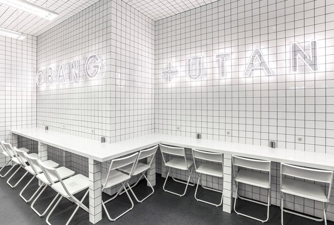 Веганское кафе OrangUtan в Киеве аскетичный интерьер в белом цвете | Admagazine