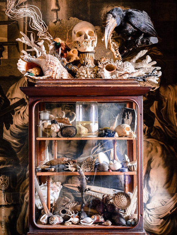 Шкафчиквитрина в духе барочных кунсткамер заполнен всевозможными природными раритетами. Сверху изящная композиция на ту...