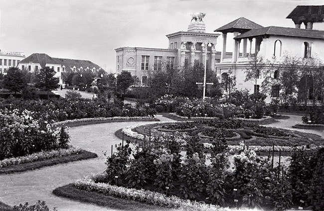 Экспонатный участок № 3 павильона “Цветоводство” фото 1955 года.