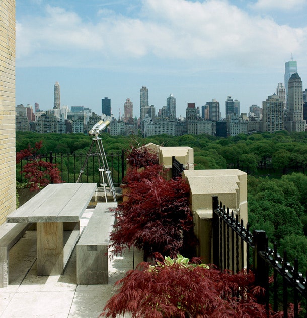 Вид с террасы на Центральный парк.