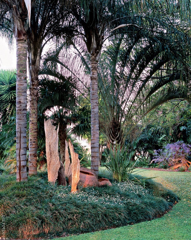 Типичный уголок сада суккуленты газон пальмы и декоративная керамика посреди клумбы.