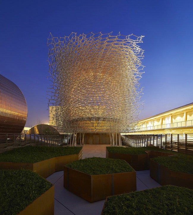Павильон Великобритании The Hive на Expo Milano 2015 дизайн от Вольфганга Беатресса | Admagazine