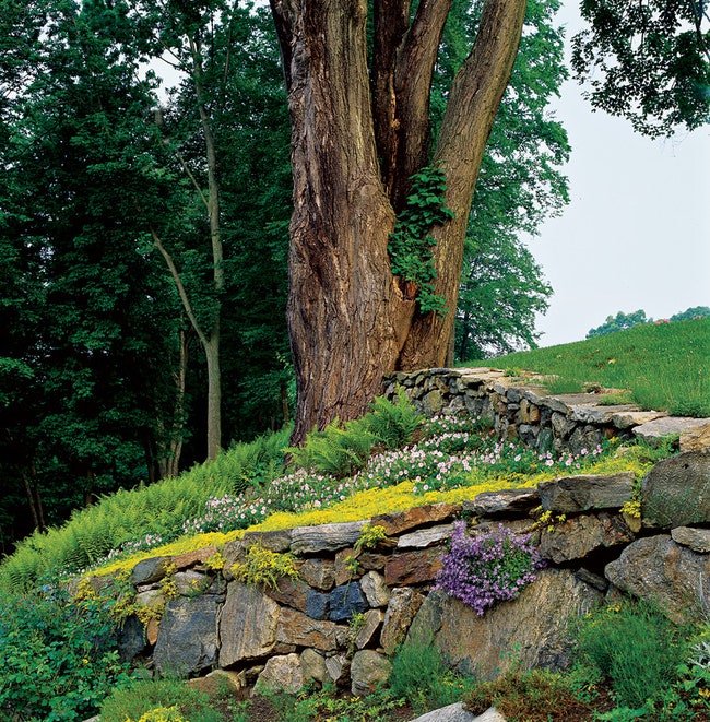 Дизайнерские цветники фото садов в штате НьюЙорк Великобритании Коннектикуте | Admagazine