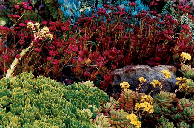 Дизайнерские цветники фото садов в штате НьюЙорк Великобритании Коннектикуте | Admagazine