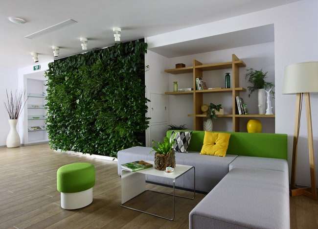 Экоофисы «зеленые» интерьеры и стены из живых растений | Admagazine
