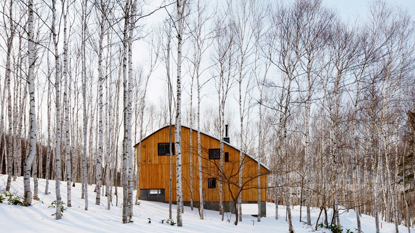 Дом в лесу с видом на озеро в Японии по проекту Hiroshi Horio Architects | Admagazine