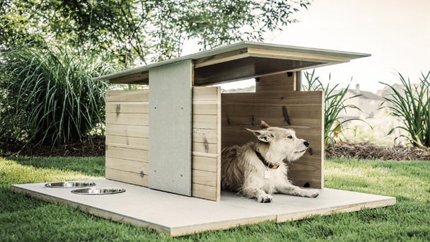 Архитектурная собачья будка