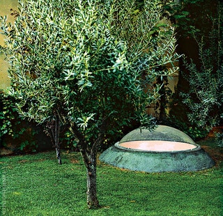 Сад на кры­ше. В тра­ве под олив­ко­вым де­ре­вом — фо­нарь верх­не­го све­та.