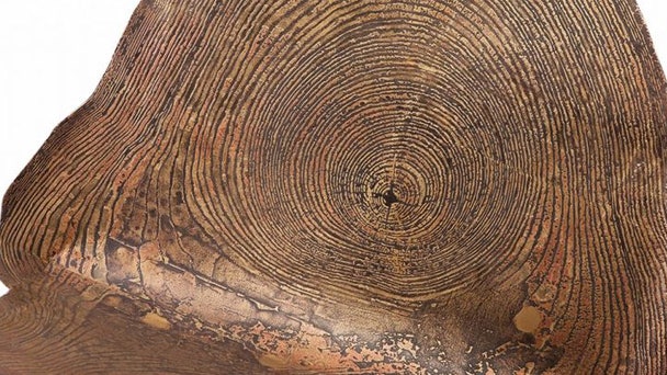 Мебель из металла с узором имитирующим срез дерева с годичными кольцами | Admagazine