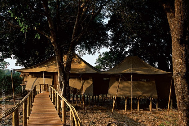 Прямо за шатрами отеля Mombo Camp тянется огромная равнина по которой бродят буйволы слоны и жирафы.