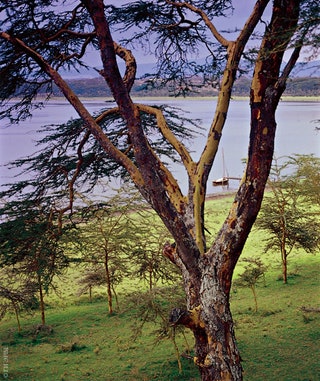 Вид на озеро Найваши со смотровой площадки башни. У причала — лодка для прогулок по озеру. В соленых водах Найваши...