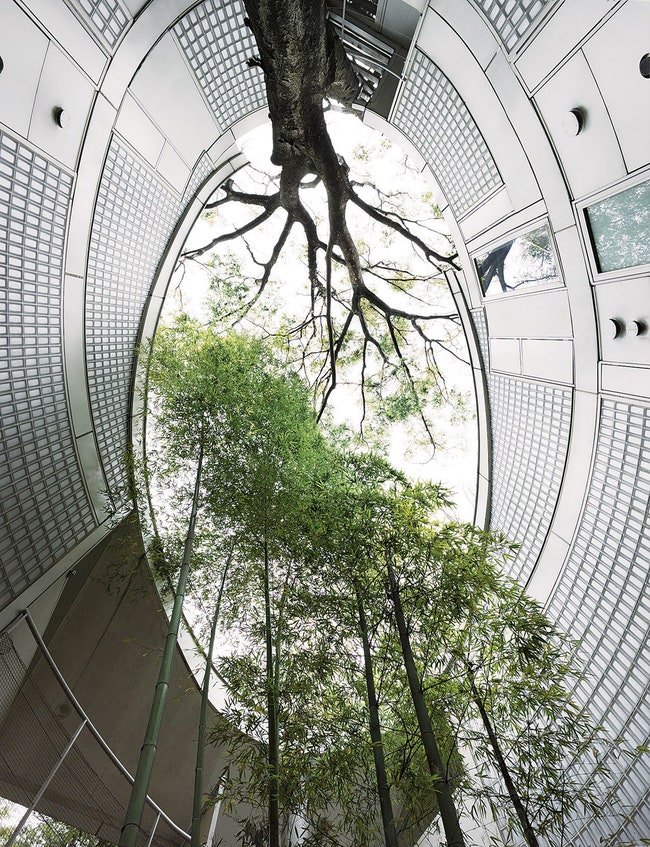 Кондоминиум в лесу Ханеги пригороде Токио Бан построил в 1997 году не срубив ни одного дерева и сам поселился в одной из...