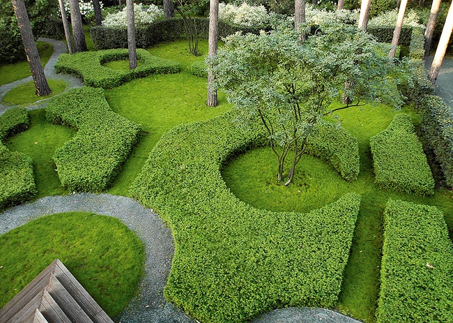 Топиарная композиция в одном из садов которые Il Nature делала для Ольги Слуцкер.