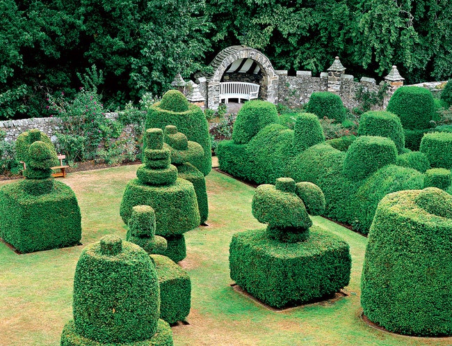 Топиарный сад замка Эрлшелл Шотландия.