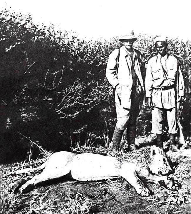 После возвращения из Кении в 1914 году Городецкий издал книгу “В джунглях Африки. Дневник охотника”. На фо­тографии он...