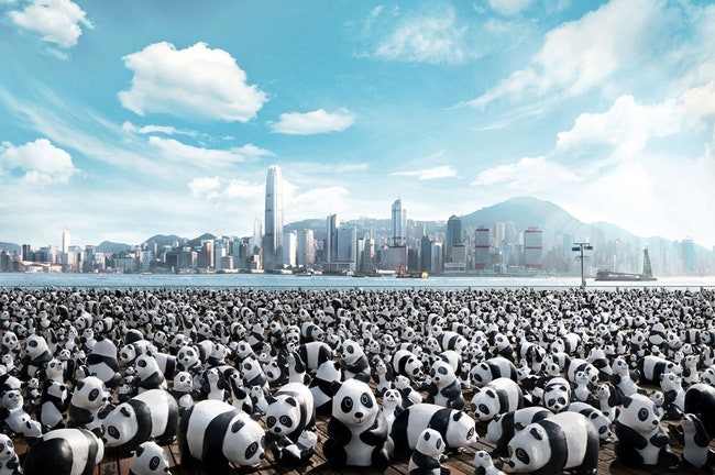 Панды атакуют Гонконг