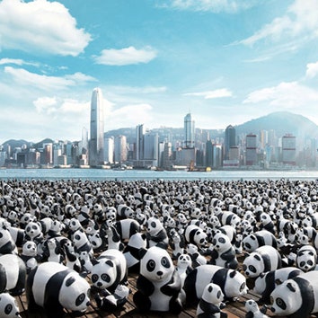 Панды атакуют Гонконг