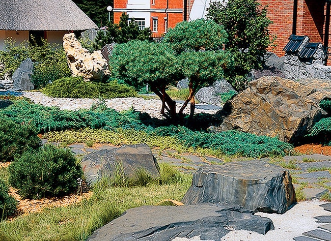 Композиция из камней и карликовых деревьев Подмосковье. Дизайн компании “Парк Лайн”.