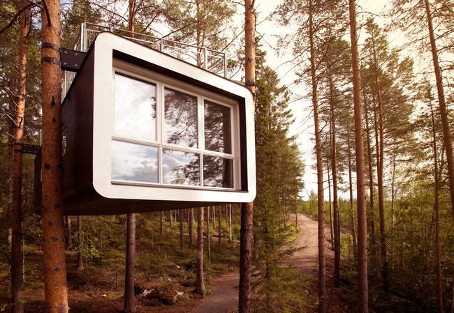 Дома на деревьях 9 лучших архитектурных проектов фото
