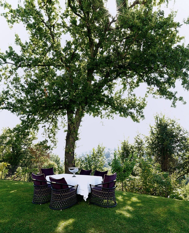 Под старым вязом в саду семейство регулярно устраивает обеды на открытом воздухе. Стулья Farnese и стол Bisanzio...