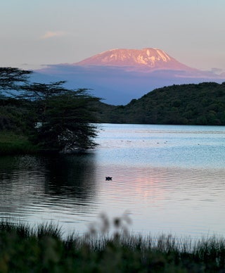 Ежевечерняя идиллия последние лучи солнца розовят склоны Килиманджаро и вод­ную гладь Момеллы.
