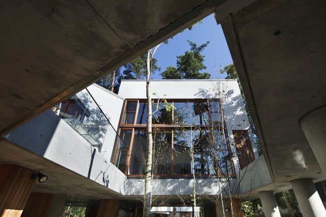 Гостевой дом в лесу по проекту японского архитектора Кейсуке Кавагути | Admagazine