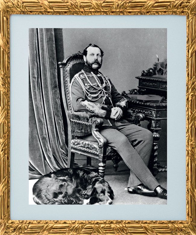 Владелец Фермерского дворца император Александр II  родился в Москве и был убит в Петербурге. Его назвали...