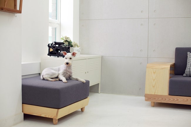 Домики пуфы и матрасы для кошек и собак от дизайнера Седунджи Мун | ADMagazine