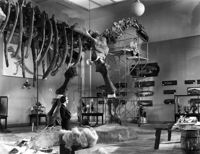 Герою комедии “Воспитание крошки” ученомупалеонтологу Полглейс изготовил скелет динозавра 1938