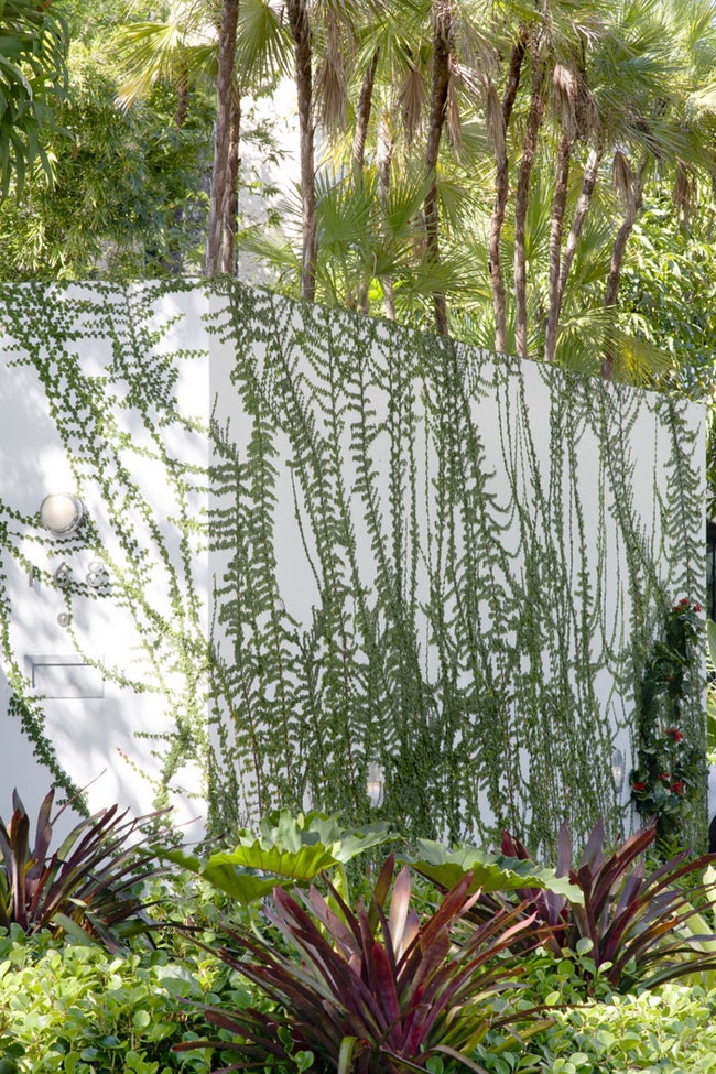 Сад при доме Теренса Райли в Майами 2011. Дом построен по нереа­лизованному проекту Людвига Мис ван дер Роэ. Джанглз как...