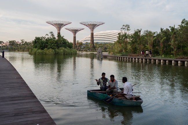 Искусственные деревья в Сингапуре как из фильма Аватар фото парка Gardens by the Bay