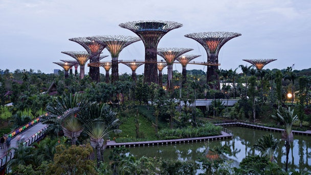Искусственные деревья в Сингапуре как из фильма Аватар фото парка Gardens by the Bay