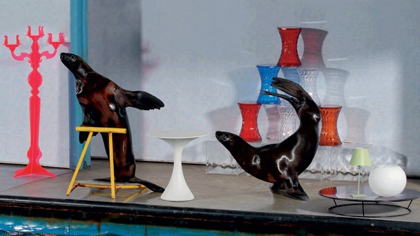 Съемка AD в бассейне с дельфинами мебель и предметы интерьера на фоне воды | Admagazine