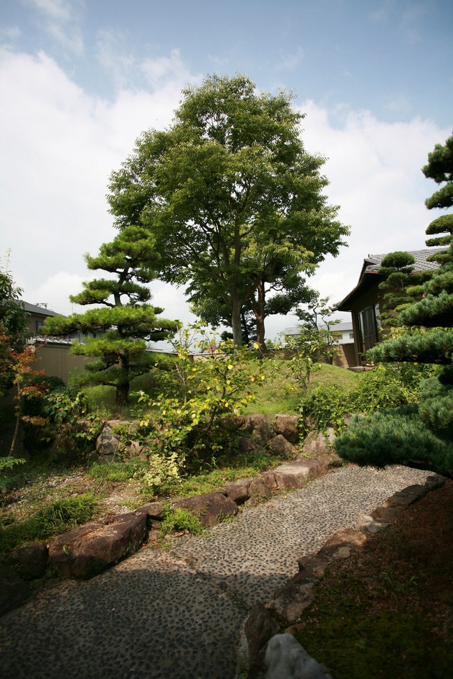 Дом в Японии с колоннамидеревьями по проекту Хиронаки Огавы | Admagazine
