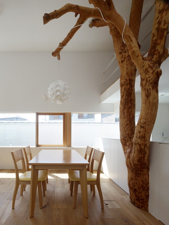 Дом в Японии с колоннамидеревьями по проекту Хиронаки Огавы | Admagazine