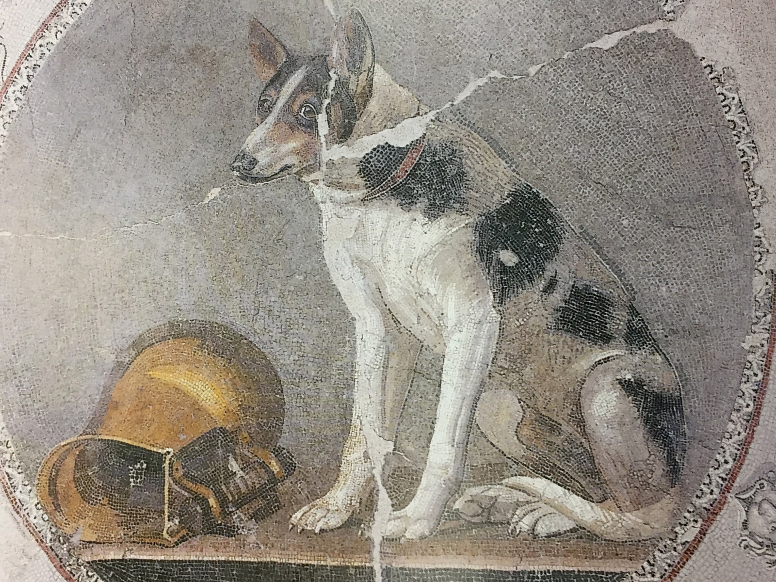 Собака и аскос . Мозаика. Египет. 200150 годы до н. э. Александрия Грекоримский музей.