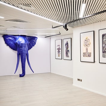 “В поисках синего слона”: персональная выставка Сергея Алферова