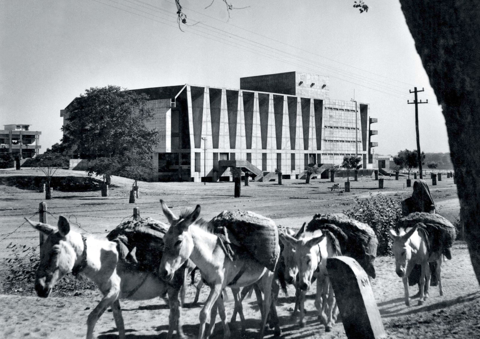 Tagore Hall 1967.