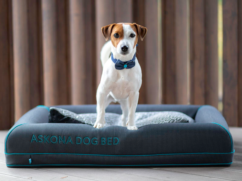 Askona Dog Bed 15 200 руб.