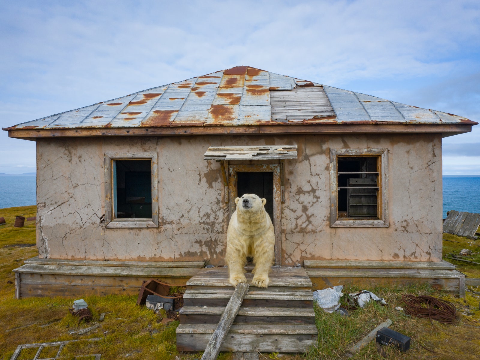 “Дом медведей”: фотопроект Дмитрия Коха на острове Колючин