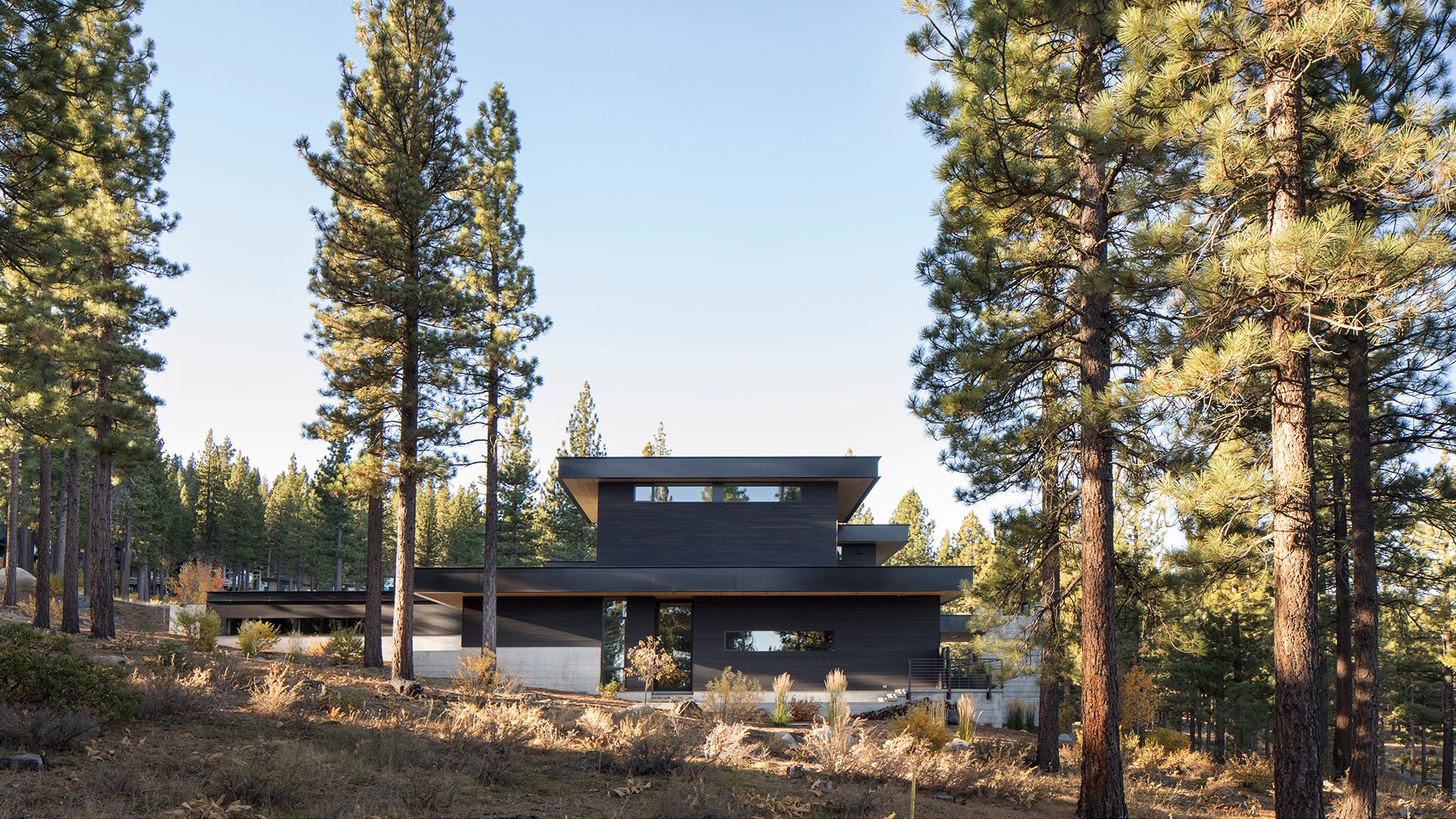 Современный дом посреди леса в Калифорнии